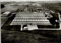 19065 O2711 Leezen b Schwerin, Meckl 1980 - Luftaufnahme Luftbildkalender