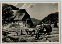 Heuernte im Schwarzwald , Bauern Moralt, W.