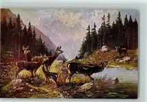 Serie 6981 - Hirschbrunft - der Rivale , Jagdtiere Müller, A. (München) Künstlerkarte