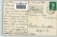 Neujahr - Datum, Tannenzweige mit Schnee, kleines Schwein 1927 AK Schwein