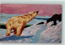 Eisbär - Künstlerkarte AK Bär