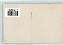 Nr. 743 - Buch lesen AK Gute Erhaltung Graf Marte