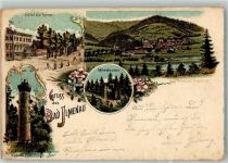 72401 W7452 Bad Imnau 1899 Lithographie Goethehäuschen Hotel zur Tanne