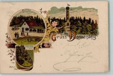 67814 W6765 Dannenfels , Pfalz 1901 Lithographie Gruss aus - Donnerberg, Aussichtsturm, Ludwigsturm, Waldhaus AK