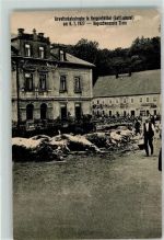 01816 O8302 Berggiesshübel 1927 - Unwetterkatastrophe Angeschwemmte Tiere