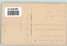 01816 O8302 Berggiesshübel 1927 - Unwetterkatastrophe Angeschwemmte Tiere