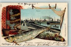 8861 Harlingen 1905 Prägedruck Haven Fische Rächerofen Fischernetz Schiffe