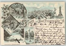 16259 O1310 Bad Freienwalde 1897 Lithographie Kur Park Gasthaus Grüne Tanne Bismarck Turm Krieger Denkmal Baa See