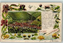 67752 W6759 Wolfstein , Pfalz 1908 Lithographie Seerosen Libelle