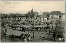 99628 O5232 Buttstädt 1909 Foto AK Rossmarkt Pferdeauktion