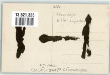 W3402 Löwenhagen HJ-Heim Ort handschriftlich Privatfoto AK HJ Gebrauchsspuren