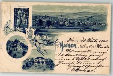 35708 W6342 Haiger 1900 Lithographie Eduardsturm Schützen-Halle Stadthaus Marktplatz Wappen