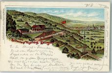 76275 W7505 Ettlingen 1897 Lithographie Gasthaus Vogelsang