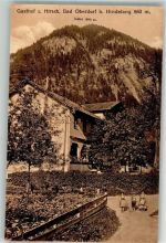 87541 W8973 Bad Oberdorf - Gasthaus zum Hirsch Iseler Kinder