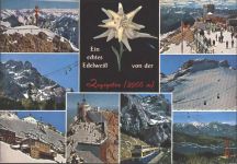 W8100 Garmisch-Partenkirchen Echtes Edelweiß Zugspitze Edelweiß