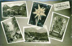 83313 W8227 Maria Eck , Kr Traunstein, Oberbay AK mit gepresstem Edelweiß