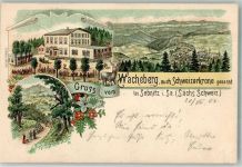 01855 O8360 Sebnitz 1900 Lithographie Wacheberg Gasthaus Schweizerkrone Waldweg Hirsch