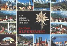 Ein echtes Edelweiß von der großen Alpenfahrt Edelweiß