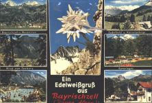 W8163 Bayrischzell Echtes Edelweiß Edelweiß