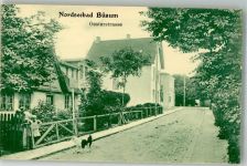 25761 W2242 Büsum - Oesterstrasse Hund