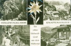 Höllental Aufgeklebtes echtes getrocknetes Edelweiß unter Schutzfolie Höllentalklamm Knappenhäuser Edelweiß