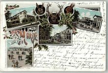 18181 O2553 Graal-Müritz , Seeheilbad 1899 Lithographie Hase Hirsch Hotel Anastasia Hotel Pusch Am Strand Hotel Hamburger Hof