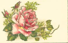 Rose Glitzer AK mit Glitzer