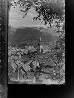 38685 W3394 Lautenthal GLASNEGATIV