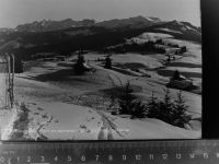 83242 W8216 Winklmoos GLASNEGATIV Winter-AK