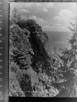 38700 W3389 Braunlage GLASNEGATIV Hahnecklee-Klippe