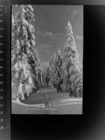 94249 W8373 Bodenmais GLASNEGATIV Winter-AK