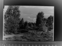 29389 W3123 Bad Bodenteich GLASNEGATIV
