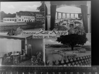 56321 W5401 Rhens GLASNEGATIV Rheinhotel zur Kripp
