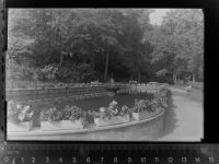 38685 W3394 Lautenthal GLASNEGATIV Park