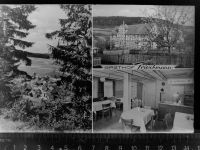 34593 W3589 Appenfeld GLASNEGATIV Gasthof Trieschmann