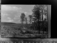 33039 W3493 Nieheim GLASNEGATIV