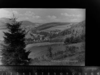 57392 W5948 Winkhausen GLASNEGATIV