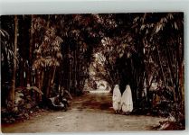 Alger Algier 1928 Foto AK Tracht Frauen jardin d´Essai