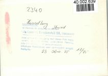 24376 W2340 Hasselberg , Ostsee FOTO KEINE AK Strand