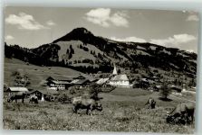 87538 W8975 Obermaiselstein Foto AK Kirche Kühe