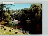 W4690 Sodingen Teich Stockenten Ente FOTO KEINE AK