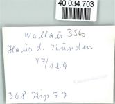 35216 W3560 Wallau , Lahn FOTO KEINE AK Haus d. Kunden