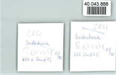 27624 W2852 Bederkesa FOTO KEINE AK Reithalle