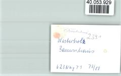 24977 W2391 Westerholz b Langballig FOTO KEINE AK Bauernhaus