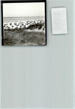 26465 W2941 Langeoog FOTO KEINE AK