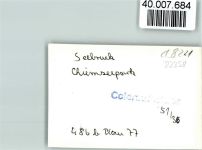 83358 W8221 Seebruck , Chiemsee FOTO KEINE AK Chiemseepark Schuhplattler