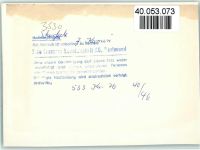 34414 W3530 Scherfede FOTO KEINE AK Hotel Zum Kamin