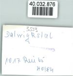 35104 W3540 Dalwigksthal , Waldeck FOTO KEINE AK