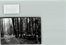 91171 W8547 Greding FOTO KEINE AK Rastplatz im Wald