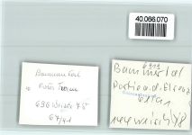 69245 W6919 Bammental FOTO KEINE AK